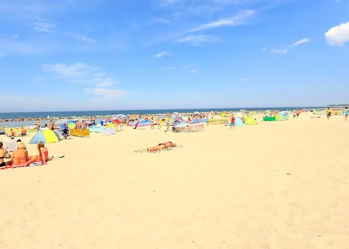 Aravell C29 Darlowko Wschodnie